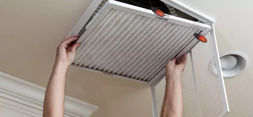 Preventive Cockroach-Proofing for Ducts in San Dimas