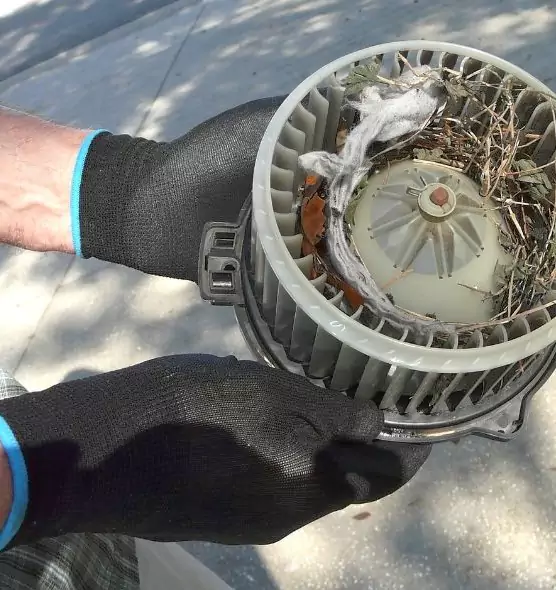 About Air Duct Mice Removal in San Dimas, CA