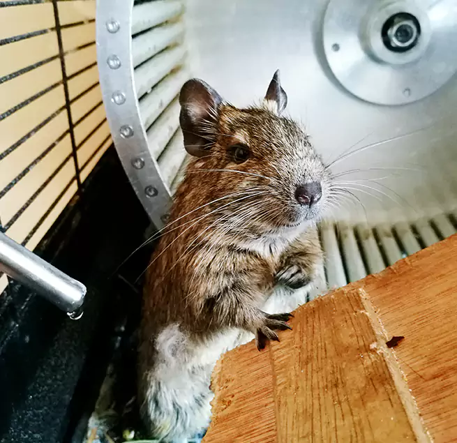 Why Homeowners & Businesses Trust Us San Dimas, CA